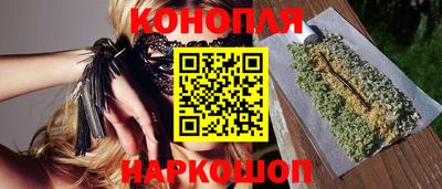 молекула духа Шелехов