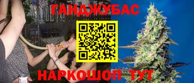 Альфа ПВП Шахты