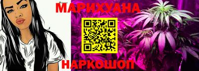 молекула духа Шелехов