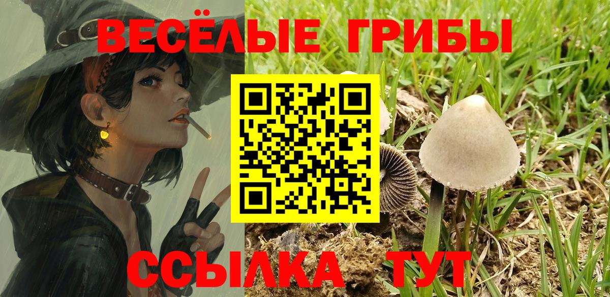 Галлюциногенные грибы Magic Shrooms  Галлюциногенные грибы Magic Shrooms  Вход с VPN  Большой Камень 
