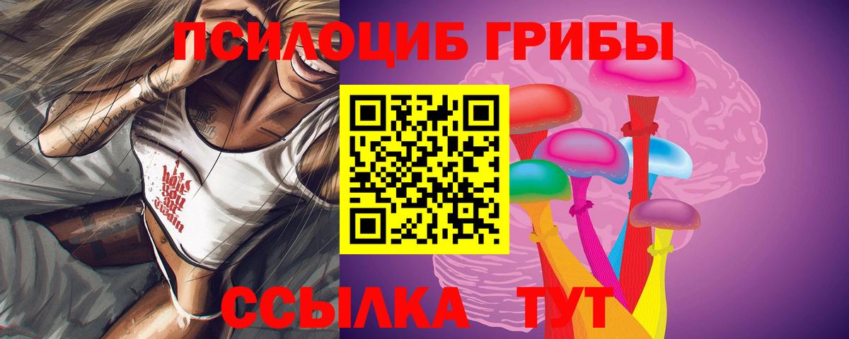 Псилоцибиновые грибы Psilocybine cubensis Большой Камень